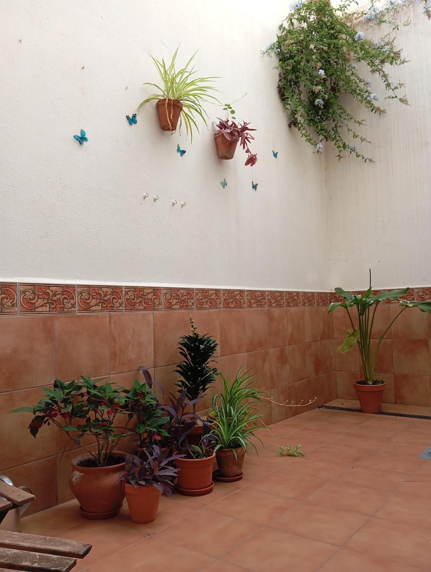 Apartamento Amapola Малага Экстерьер фото